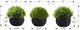 Monarch Specialties Inc. 3-piece 5" Artificial Grass with Black Pot-2