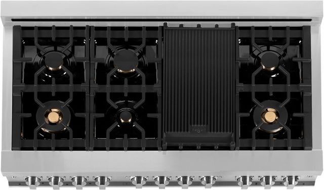ZLINE 48" Stainless Steel Pro Style Dual Fuel Range-1