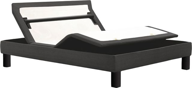 Beaudoin The Elite Black/White Twin XL Adjustable Bed-0