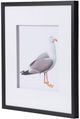 A & B Home Set of 2 Black/Gray/White Seagull Wall Art-2