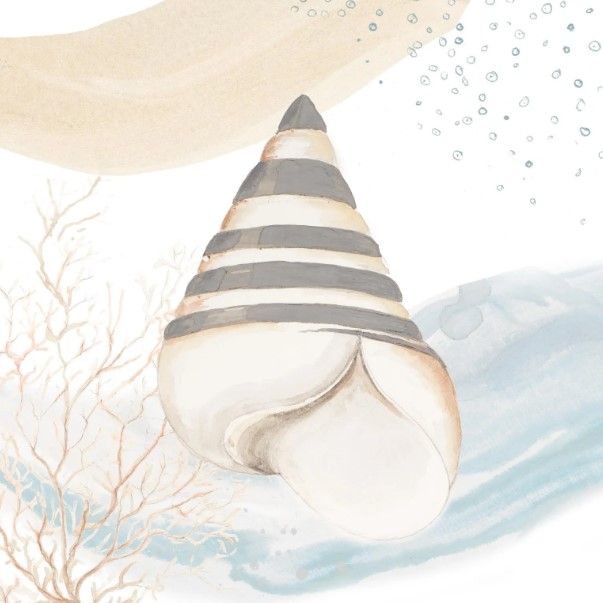 Classy Art Ocean Oasis Wave Tropical Shell II by Patricia Pinto Wall Art-0