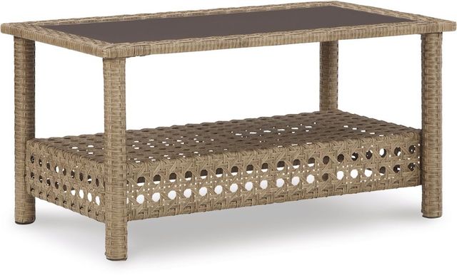 Signature Design by Ashley® Braylee Driftwood Outdoor Loveseat with Coffee Table-1