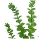 A & B Home Green 31'' Faux Eucalyptus Spray-2