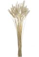 A & B Home White Dried Natural Bunny Tail Bundle-0