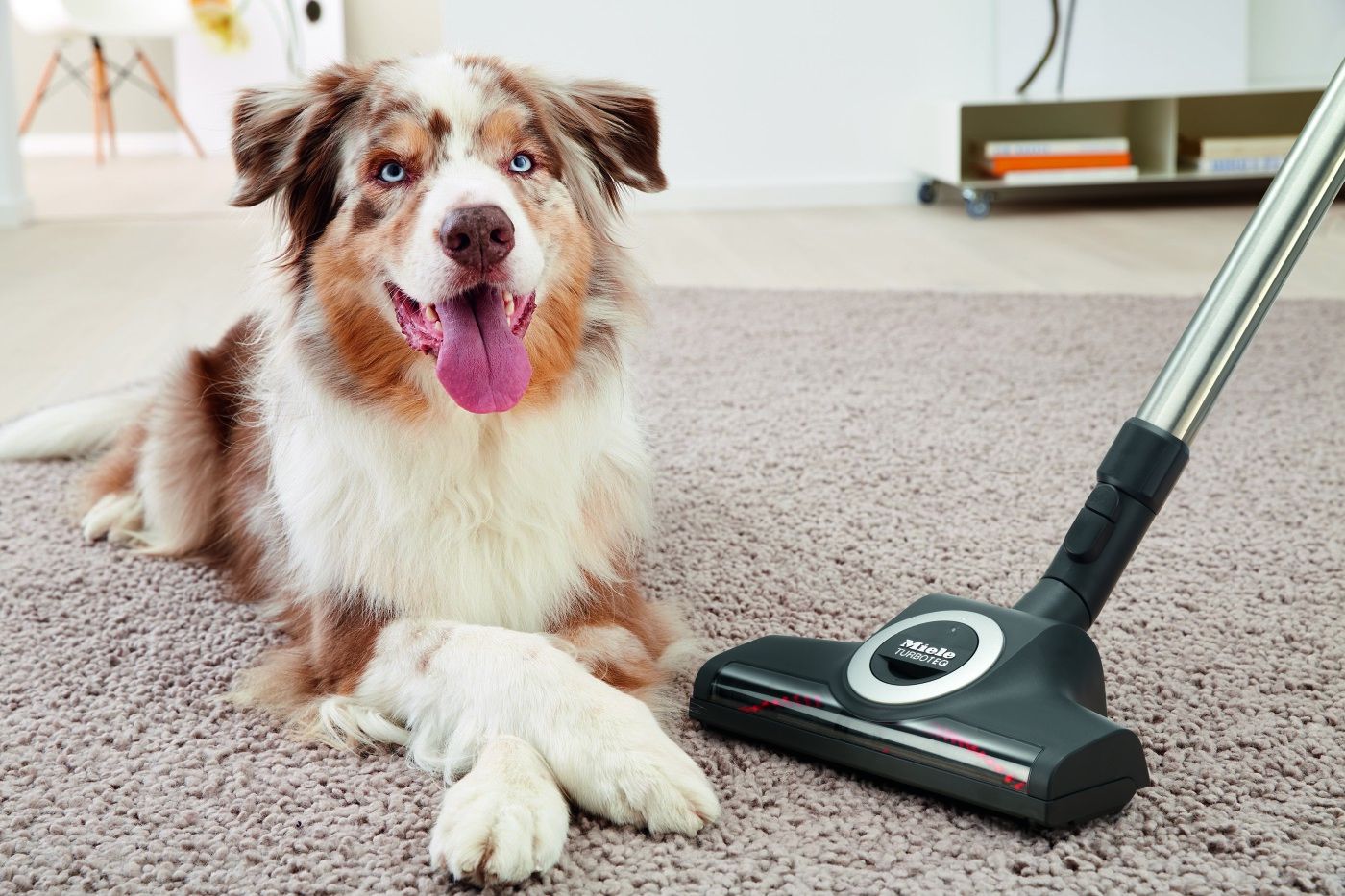 Miele Vacuum TurboTeq Black Floorhead - STB 305-3 | Hudson
