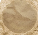 Russound® Acclaim 5 Series 8" Sandstone 2-Way OutBack Rock Speaker-1