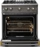 Viking® 5 Series 30" Damascus Gray Pro Style Gas (NG) Range with Brushed Brass Trim-1
