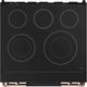 Thor Kitchen® Gordon Ramsay Series 30" Matte Black Pro Style Electric Range-4