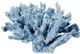 A & B Home Blue 6.5" Faux Coral Decorative Object-1