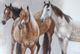 Stylecraft Norman Wyatt Thoroughbred Wall Art-1