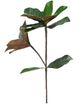 A & B Home Green Magnolia Stem-4