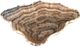 A & B Home Macias Brown Hand-Carved Zebra Onyx Bowl-0