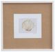 Bassett Mirror Neutral Shell Fresco lV Framed Print-0