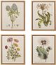Olliix by Martha Stewart Green Set of 4 Herbal Botany Framed Linen Canvas-0