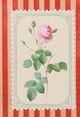 Stylecraft Tamara Day Vintage Striped Flowers I Wall Art-1