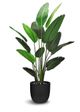 Le Present Traveller’s Green 70.5" Faux Botanical Palm-0