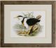 Stylecraft Waterbird Pairing II Beige/Black/Green/Light Yellow/White Wall Art-0