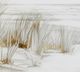 Stylecraft Missing Summer Light Gray/White Wall Art-1