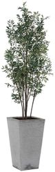 Uttermost® Sonora Gray/Green Olive Tree in Planter-0