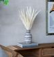 A & B Home White Dried Natural Pampas Grass Bundle-3