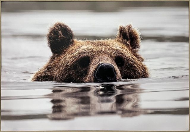 Classy Living Resiliant Silent Watch Wall Art-0