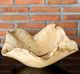 Uttermost® Tamarine Natural Bowl-2