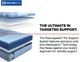 Sealy® Posturepedic® Pro Crenshaw II Hybrid 13" Medium Tight Top California King Mattress-5