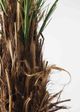 Le Present Phoenix Green 96" Faux Botanical Palm-1