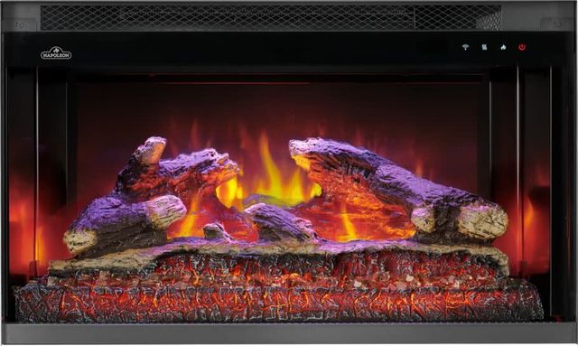 Napoleon Rosedale™ 2 Series 26'' Black Insert Electric Fireplace-2
