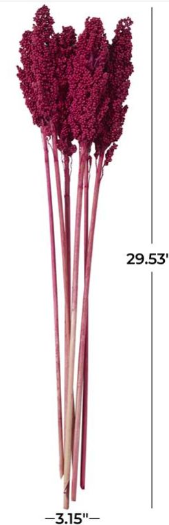 Deco Marche Pink Dried Plant Corn Maze Grass Natural Foliage with Long Stems-2