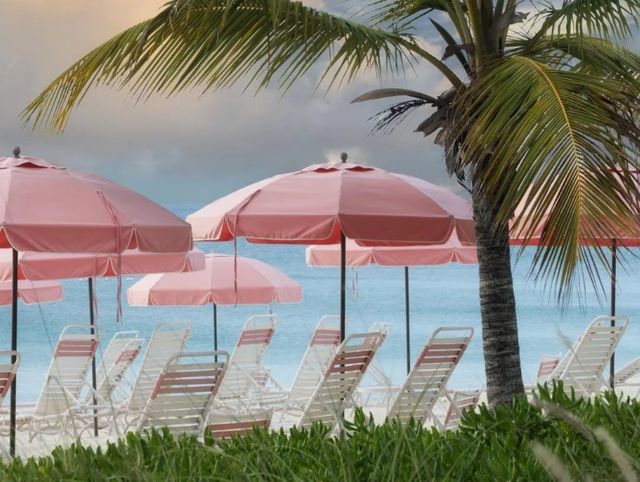 Classy Art Umbrellas by Dennis Frates Wall Art-1
