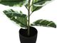 Monarch Specialties Inc. Green/Black 27" Artificial Potted Rubber-1