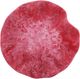 TOV Furniture Mera Red Petal Tray-3