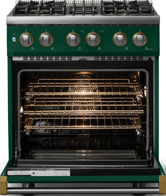 Viking® 5 Series 30" Ivy Pro Style Dual Fuel (LP) Range with Brushed Brass Trim-1