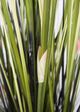 Le Present Grass Green Faux Botanical-1