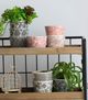 A & B Home 3-Piece Black Herb Pot Set-3