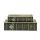 A & B Home 2-Piece Beige/Green Book Box Set-1