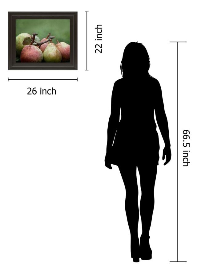 Classy Living Rachel Perry Comice Pear Il Wall Art-1
