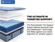Sealy® Posturepedic® Pro Crenshaw II 15" Wrapped Coil Soft Euro Pillow Top California King Mattress-5