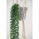 A & B Home 3-Piece Black Herb Pot Set-5