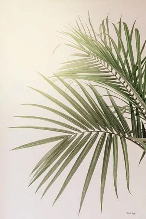 Classy Art Sunkissed Palm by Jennifer Rigsby Wall Art-0