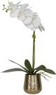 Uttermost® White Cami Orchid with Brass Pot-0