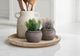 Monarch Specialties Inc. 2-Piece 8" Succulent Artificial Plant Set with 6" Brown Cement Pots-0