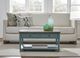 Null Furniture Expressions Gray Birch Rectangular Cocktail Table with Indigo Base -4