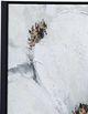 Bassett Mirror Dogwood Canvas Wall Art-3