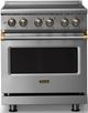 Viking® 5 Series 30" Stainless Steel Pro Style Electric Range with Brushed Brass Trim-0