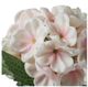 A & B Home Pink/White Eva Hydrangea Stem-2