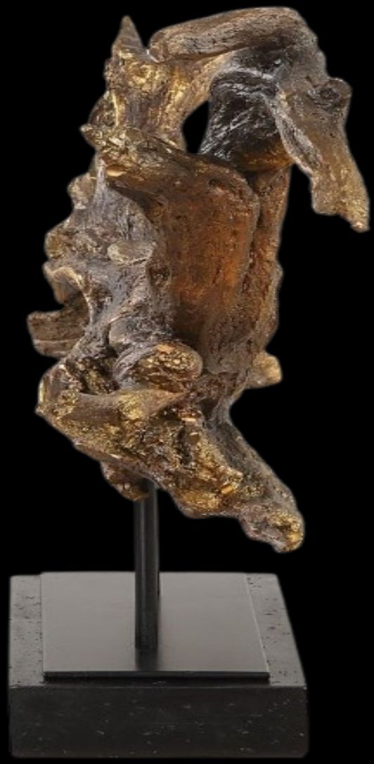 Uttermost® Gilded Branch Dark Brown/Matte Black Sculpture-4
