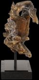Uttermost® Gilded Branch Dark Brown/Matte Black Sculpture-4