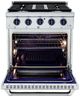 VEZENI Randolph 30" Stainless Steel Pro Style Gas Range-1